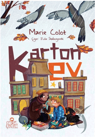 Karton Ev