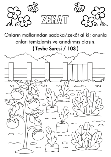 İslamla Büyüyorum Seti